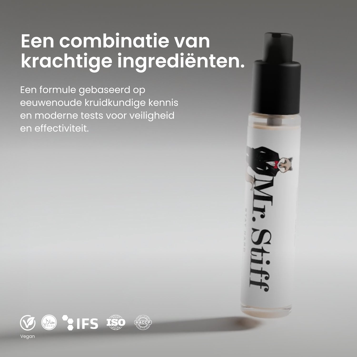 Mr Stiff - Glijmiddel & Massagegel - 2 in 1